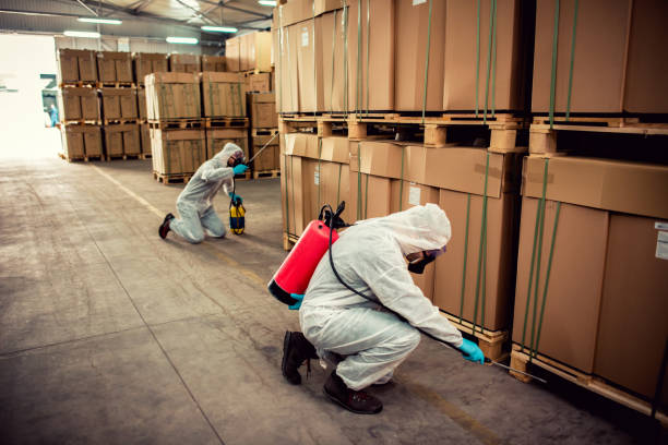 Best Mosquito Control Services  in Grand Marais, MN