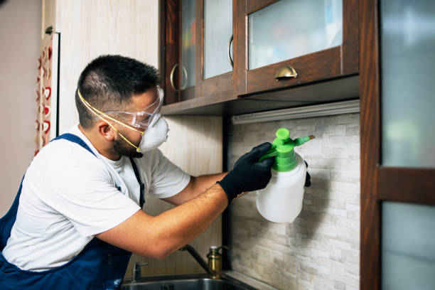 Reliable Grand Marais, MN Pest Control Solutions