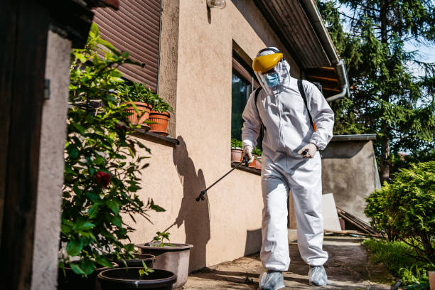 Best Pest Prevention Services  in Grand Marais, MN
